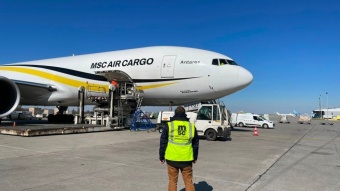 בימים אלו השלימה ענקית הספנות את רכישת חברת AlisCargo Airlines ממילאנו. במהלך השנה הקרובה יעמדו לרשות MSC Air Cargo חמישה מטוסי מטען רחבי גוף