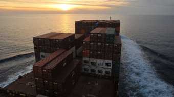 צים השיקה שירות חדש לטובת סחר באי-קומרס